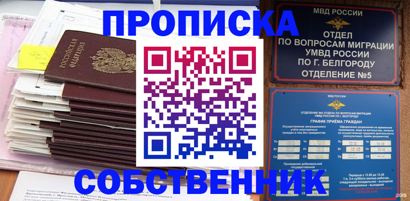 прописка законно в Невеле